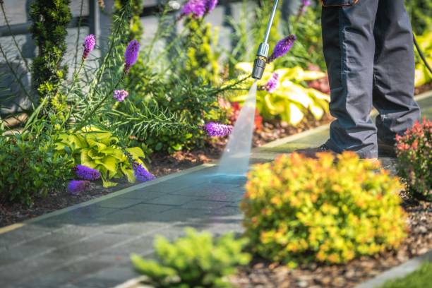 Best Winterizing Services  in Sandusky, OH